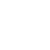 smartphone icon